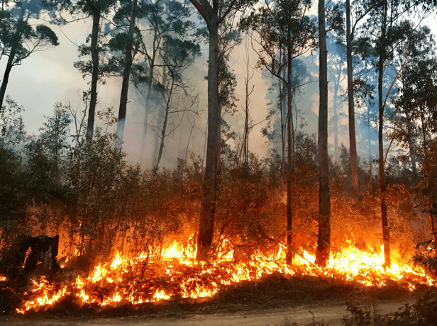 Australian Bushfire
